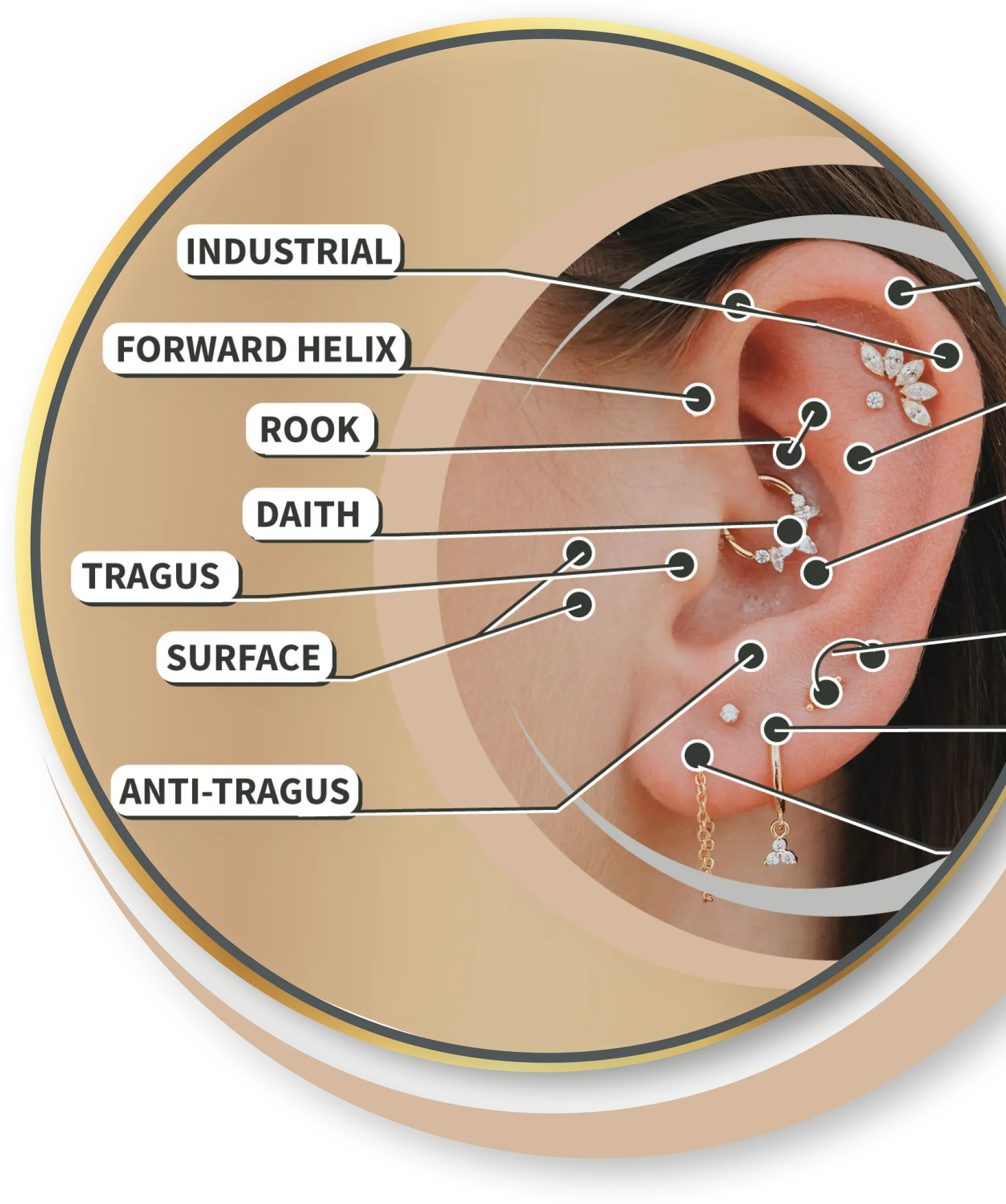 Der Piercing-Guide zeigt alle Möglichkeiten für Übach-Palenberg